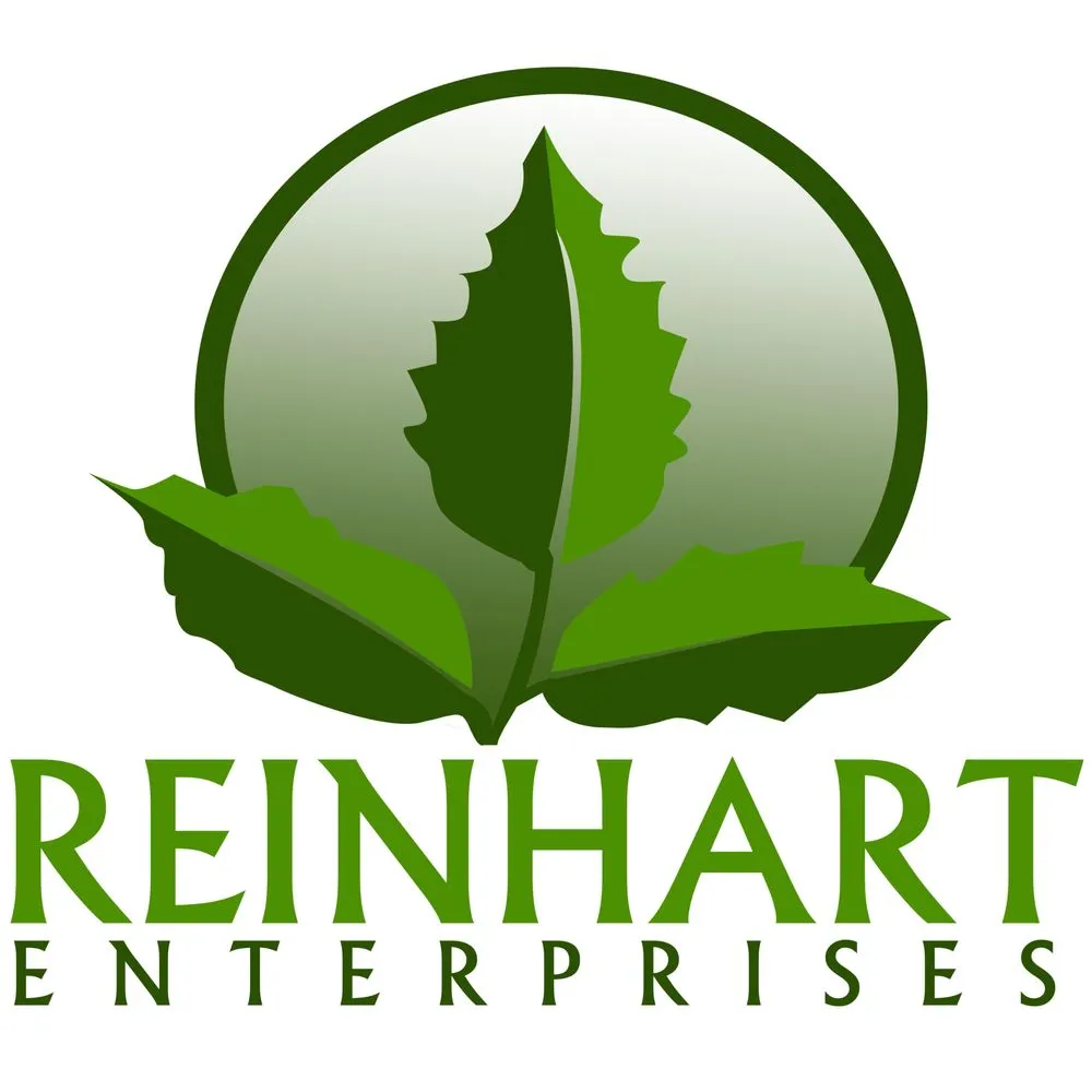 Affordable yard cleanup service in Amherst, NY - Reinhart Enterprises Landscaping and Lawn Care