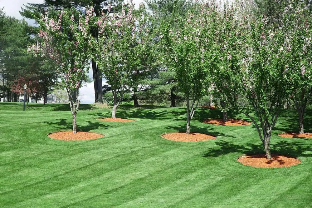 Local yard maintenance in Bloomington, IL - Reinhart Landscaping & Snow