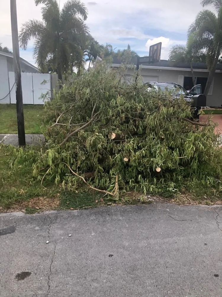 Top-rated lawn mowing service in Homestead, FL - Reinier