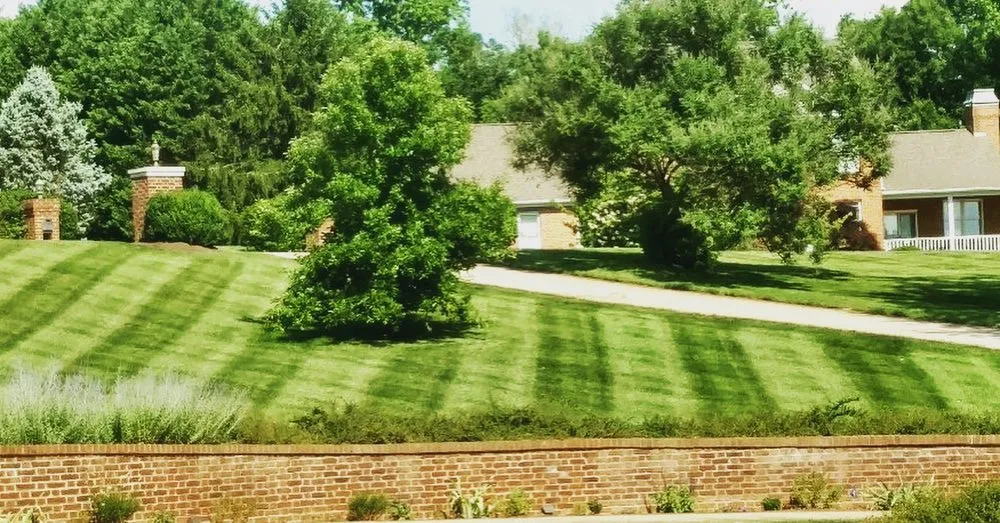 Custom lawn mowing service in Knoxville, TN by Reinvigorate Lawn Care