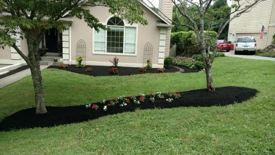 Trusted yard cleanup service in Knoxville, TN by Reinvigorate Lawn Care