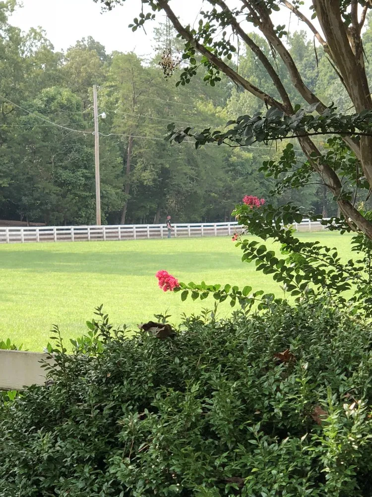 Local landscape installation in Knoxville, TN - Reinvigorate Lawn Care