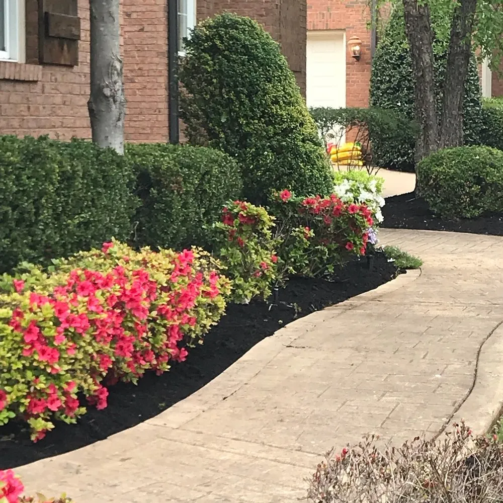 Reliable lawn care service for residential properties across Knoxville, TN - Reinvigorate Lawn Care