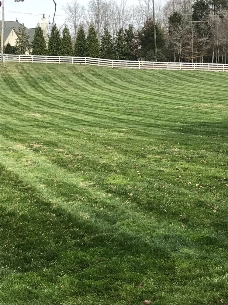 Affordable yard cleanup service in Knoxville, TN by Reinvigorate Lawn Care