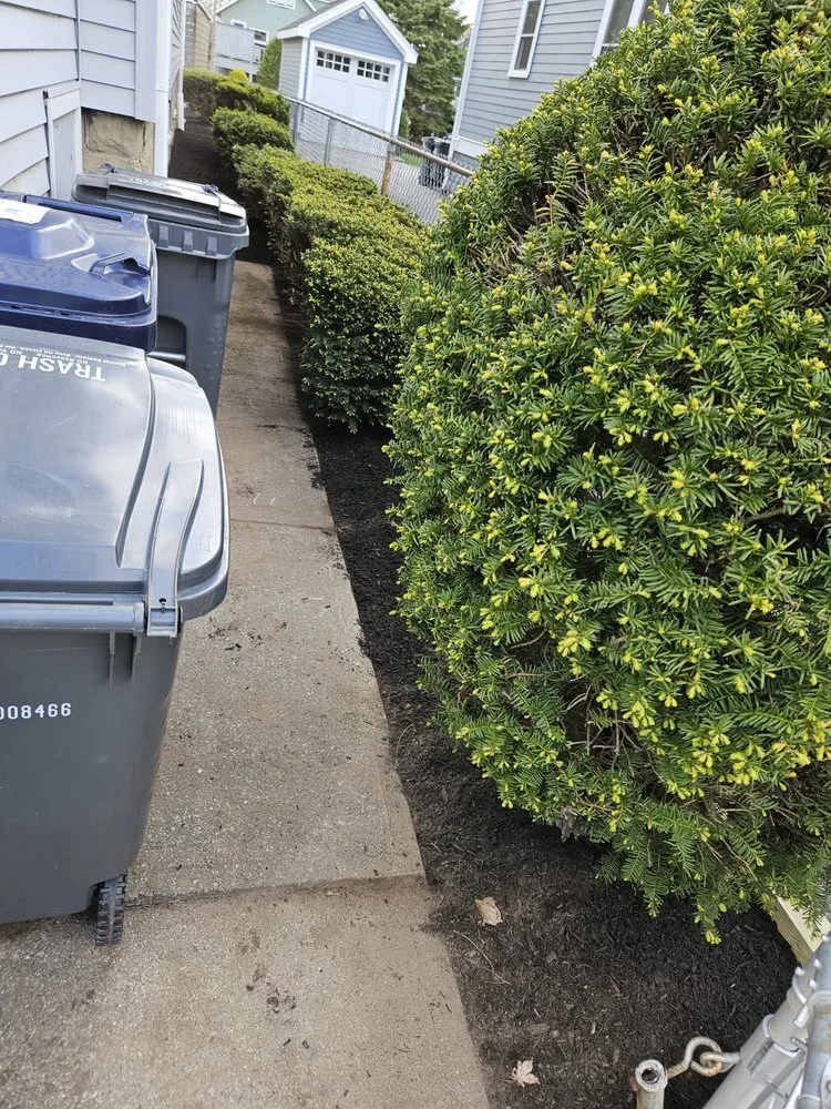 Custom lawn mowing service in Malden, MA - Reis Landscape Services