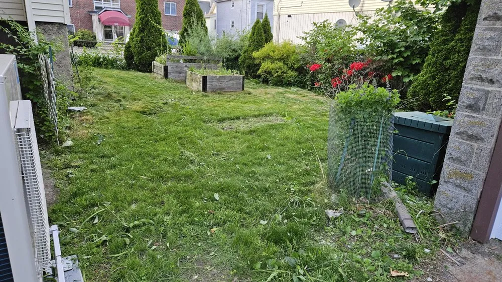 Top-rated yard maintenance for homes across Malden, MA - Reis Landscape Services