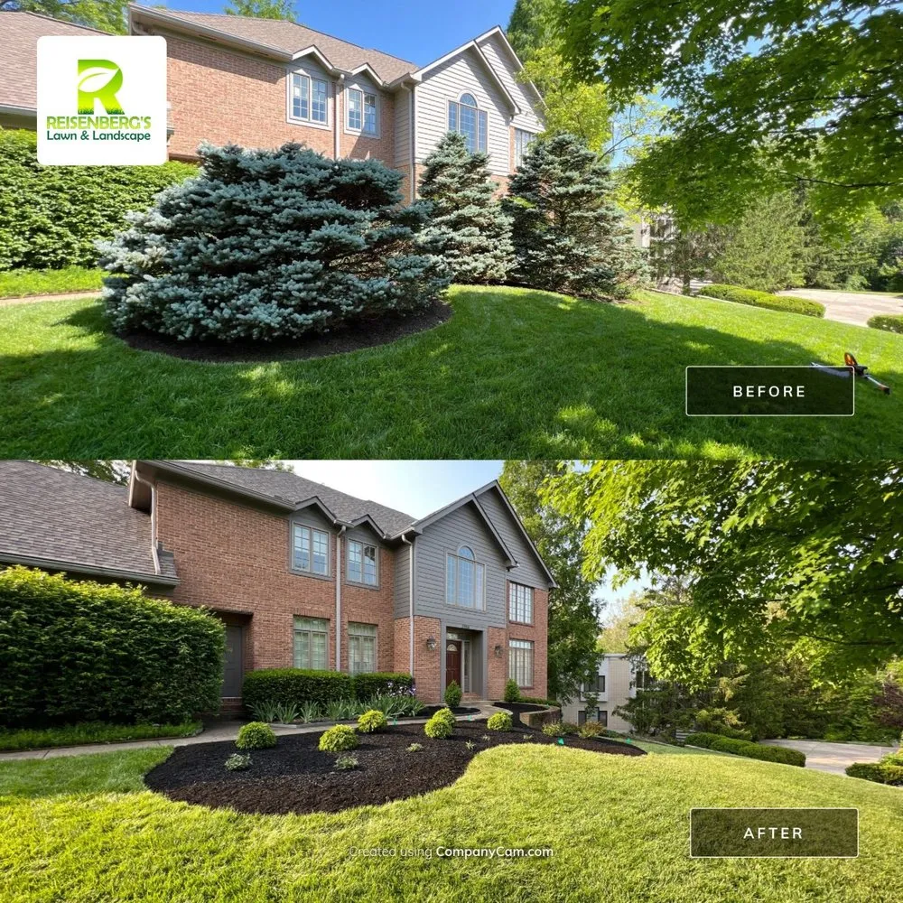 Professional yard maintenance experts serving Cincinnati, OH - Reisenberg's Lawn & Landscape