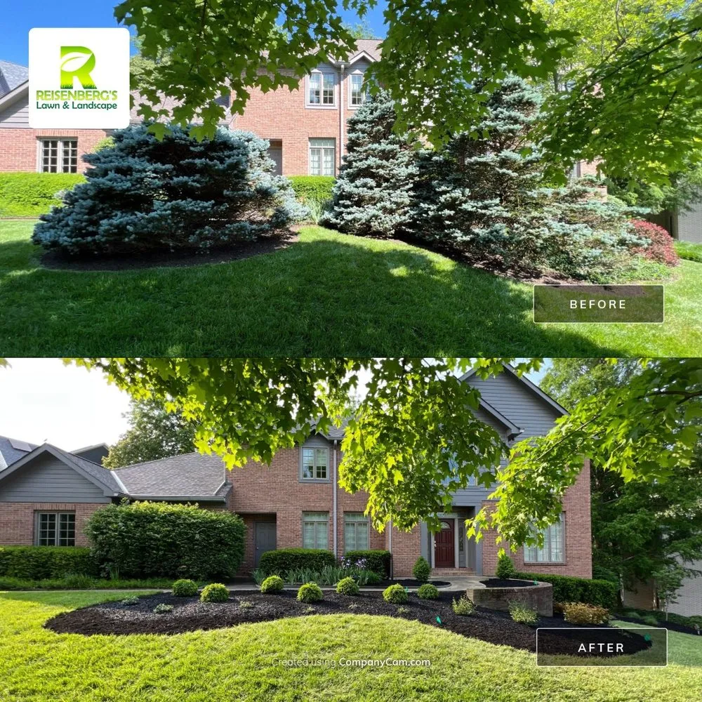 Custom yard cleanup service in Cincinnati, OH by Reisenberg's Lawn & Landscape