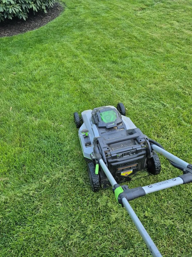 Trusted yard cleanup service for outdoor upgrades across Brockton, MA - Reiser Greenworks