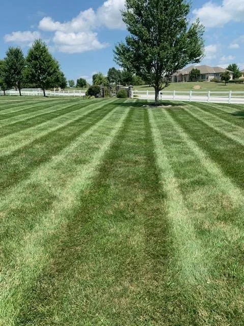 Trusted lawn mowing service experts serving Lee's Summit, MO - Reisner Lawn & Landscape