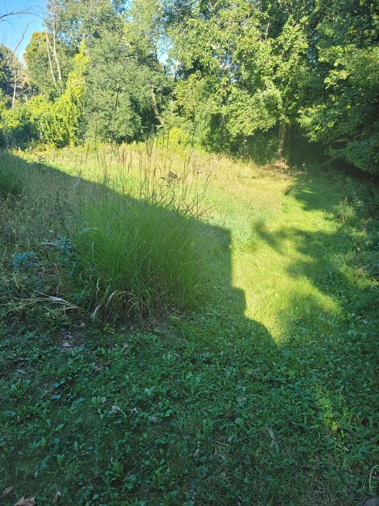 Top-rated lawn mowing service near you across Winona, MN - Reisner's Lawn Care