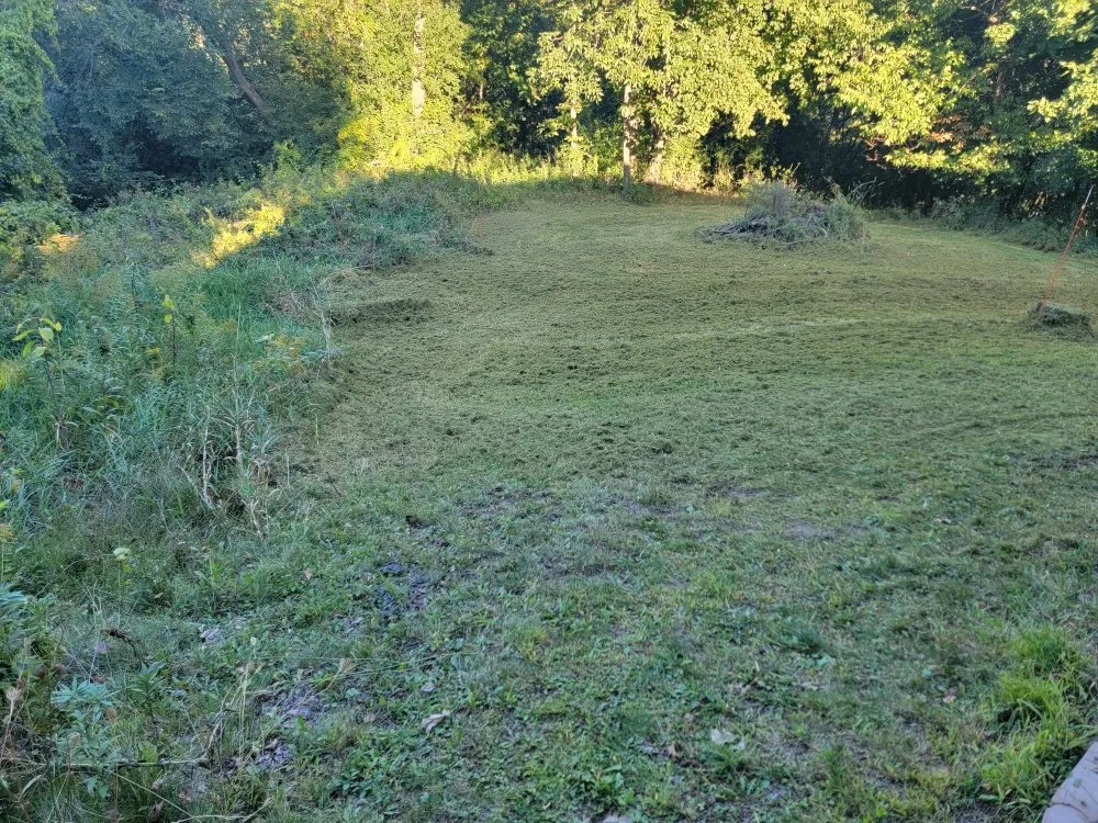 Professional lawn mowing service for outdoor upgrades in Winona, MN by Reisner's Lawn Care