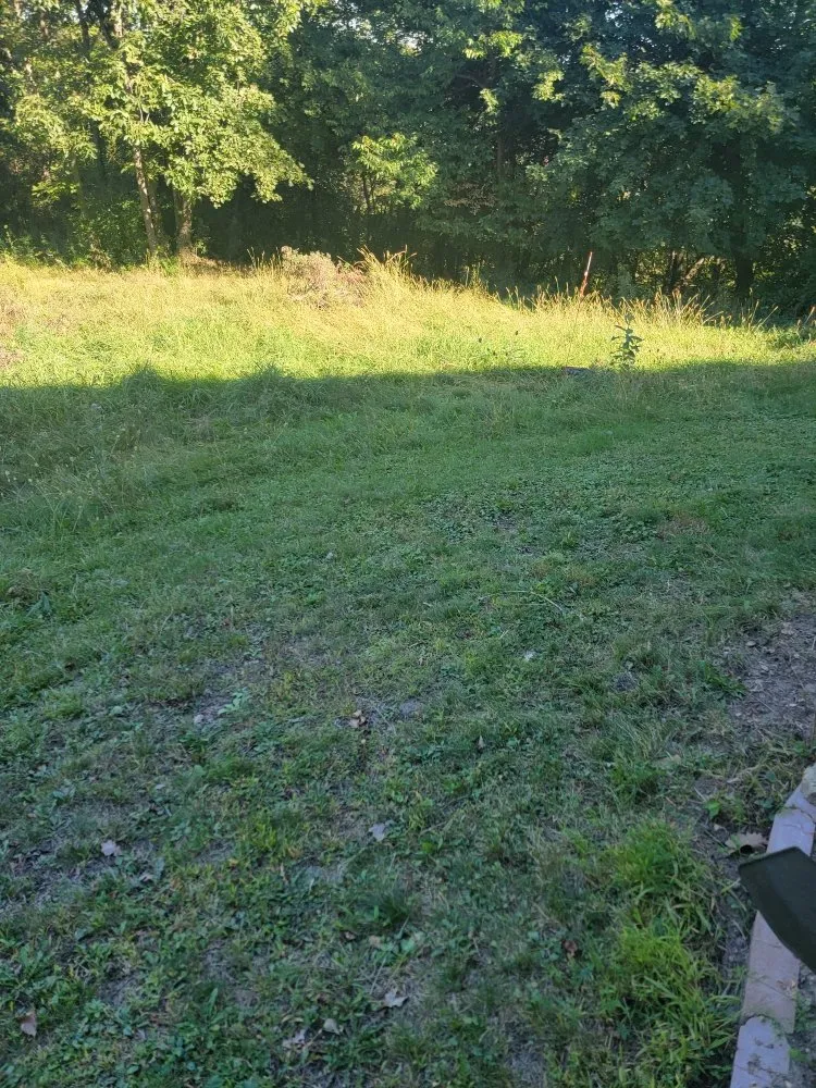 Local yard cleanup service for beautiful yards across Winona, MN - Reisner's Lawn Care