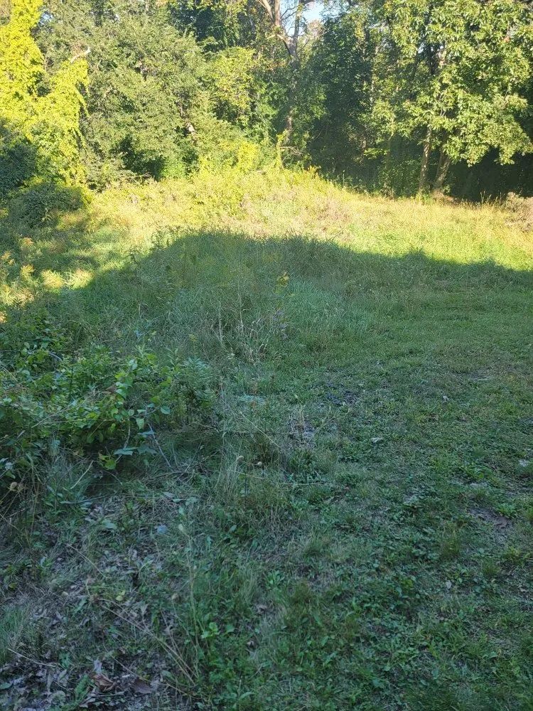 Affordable lawn care service for residential properties across Winona, MN - Reisner's Lawn Care