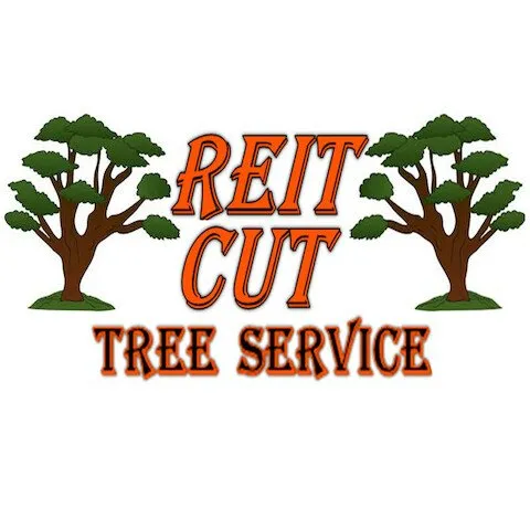 Top-rated lawn care service in Lone Tree, IA - Reit Cut Tree Service
