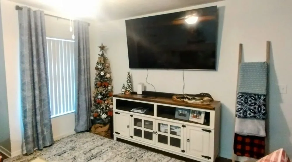 Expert landscape installation for year-round maintenance across Gainesville, FL - Rejoice Odd Job Solutions