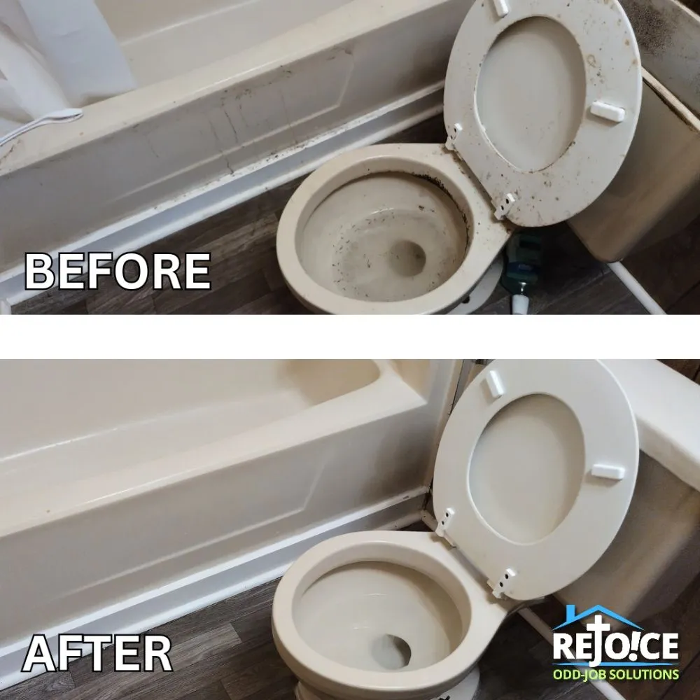 Professional landscaping services experts serving Gainesville, FL - Rejoice Odd Job Solutions