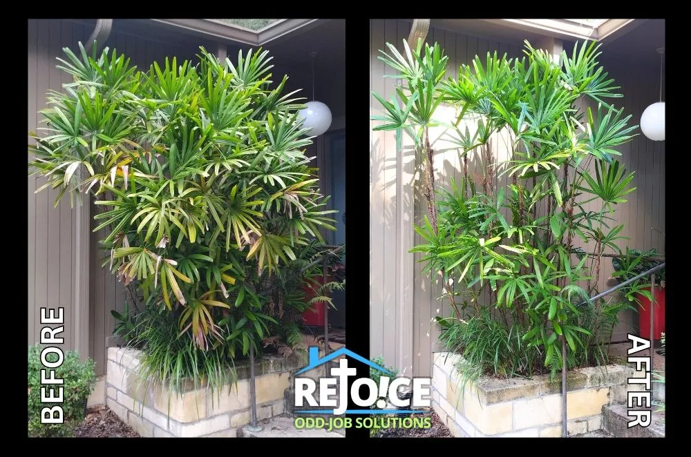 Reliable outdoor landscaping in Gainesville, FL by Rejoice Odd Job Solutions