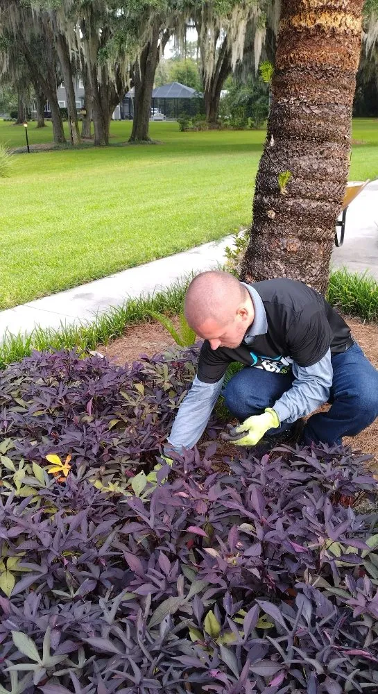 Custom lawn care service for residential properties in Gainesville, FL by Rejoice Odd Job Solutions