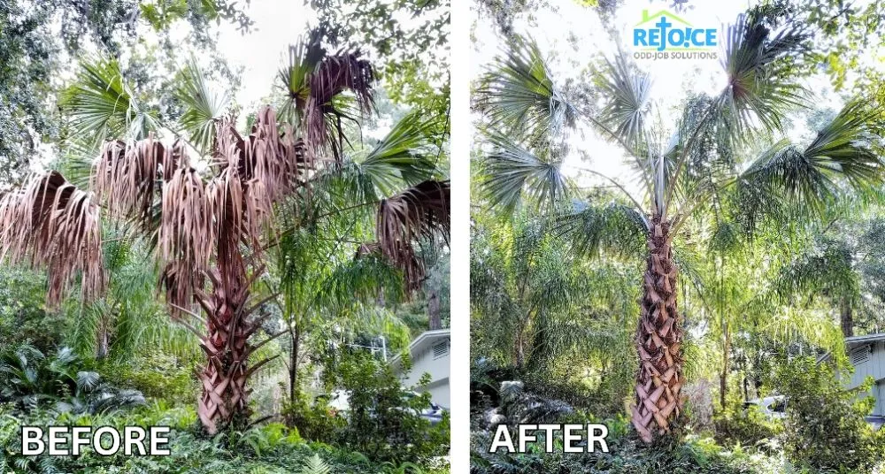 Expert lawn care service with custom design in Gainesville, FL by Rejoice Odd Job Solutions