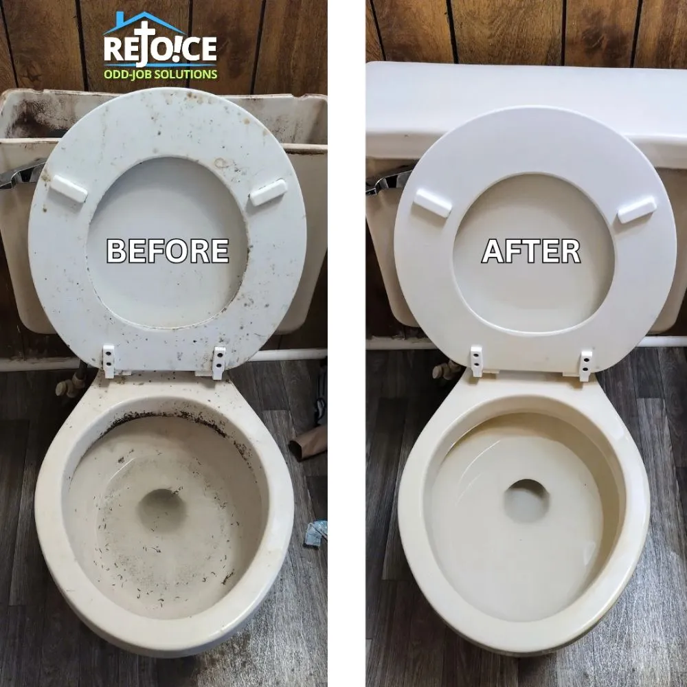 Local outdoor landscaping in Gainesville, FL - Rejoice Odd Job Solutions