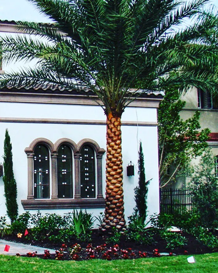 Expert residential landscaping in Lake worth, FL by Rejoyce Landscaping