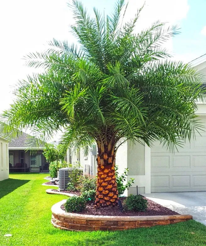 Local landscape installation with custom design in Lake worth, FL by Rejoyce Landscaping
