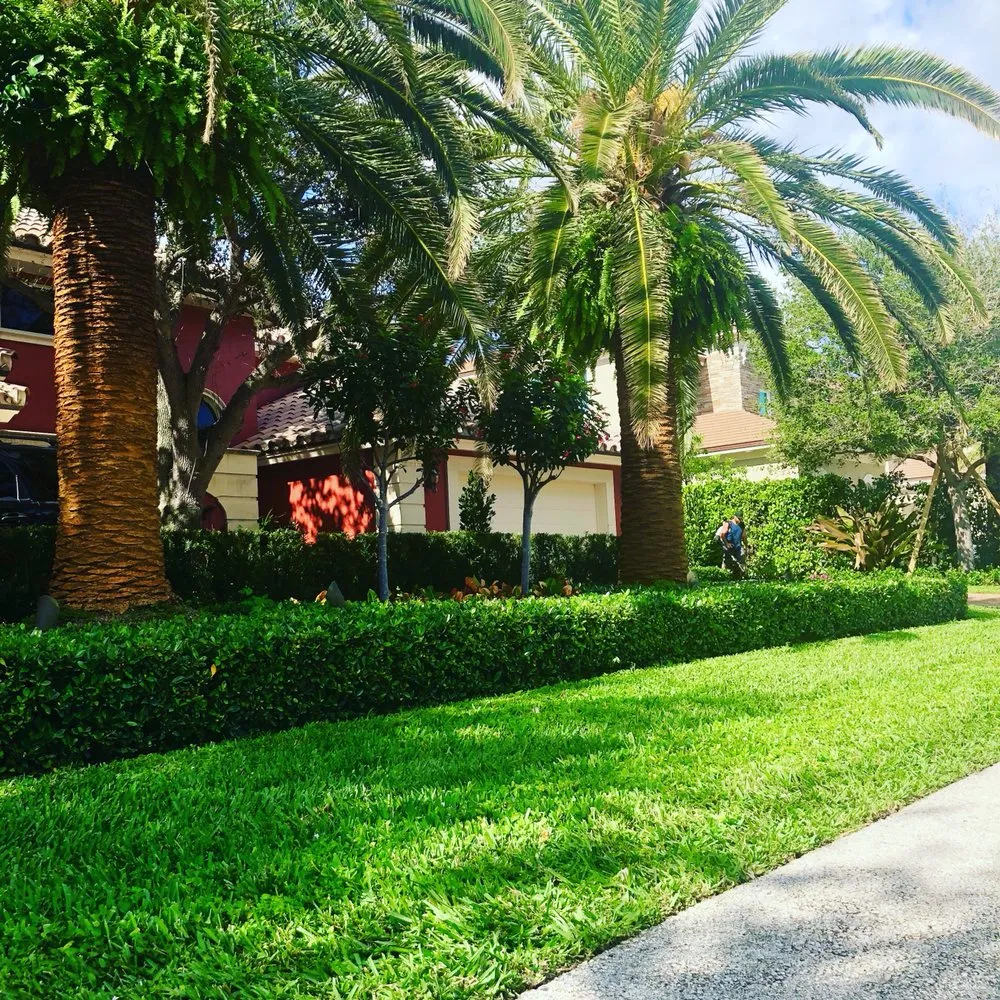Expert landscape installation for year-round maintenance in Lake worth, FL by Rejoyce Landscaping