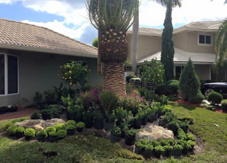 Affordable lawn mowing service experts serving Lake worth, FL - Rejoyce Landscaping