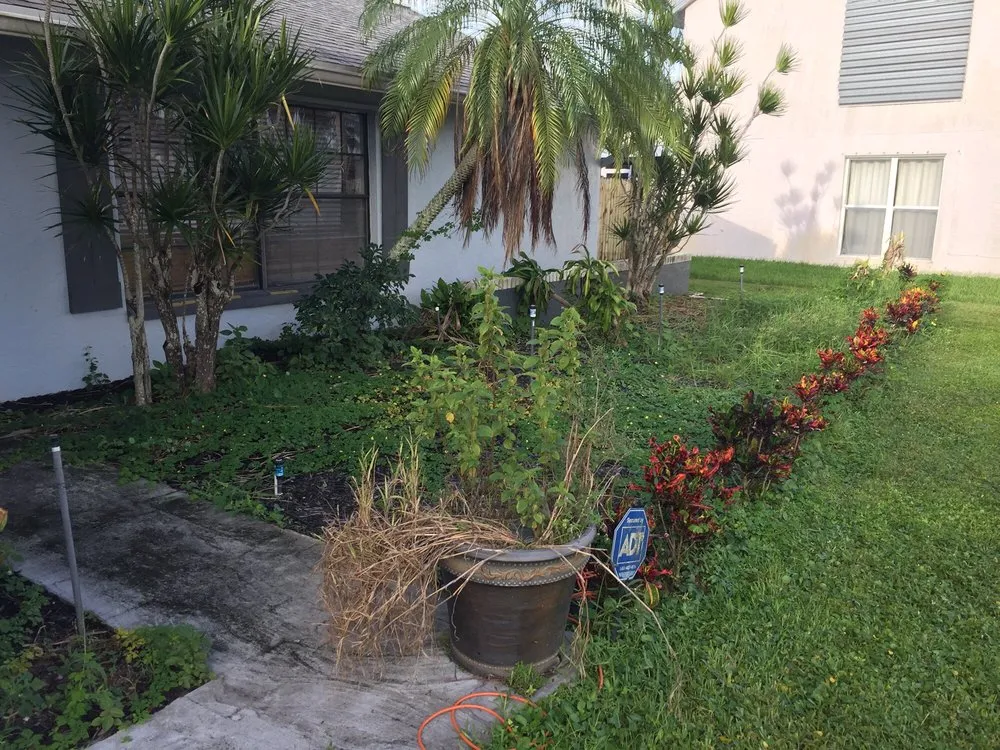 Professional lawn care service in Lake worth, FL by Rejoyce Landscaping