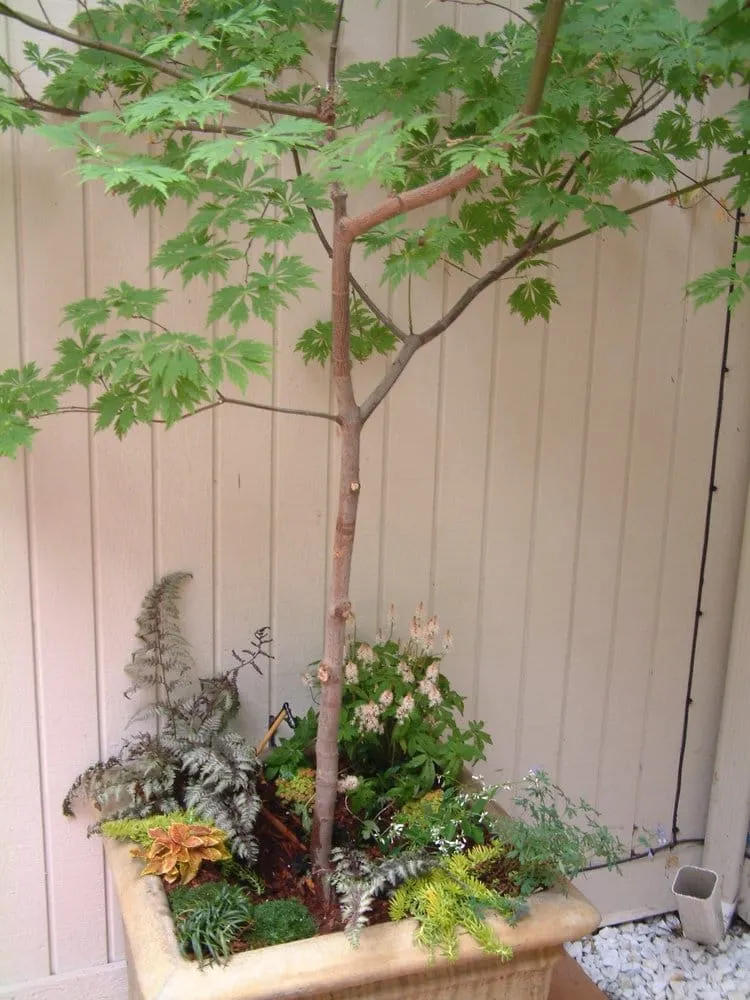 Reliable yard maintenance in Portland, OR by Rejuvenation Artisans Landscapes