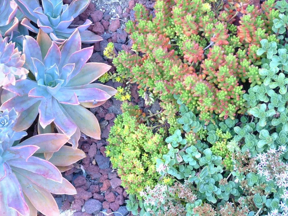 Expert landscaping services with custom design across Portland, OR - Rejuvenation Artisans Landscapes