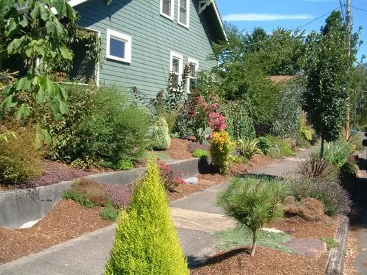 Expert yard cleanup service for residential properties across Portland, OR - Rejuvenation Artisans Landscapes