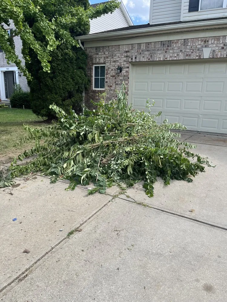 Top-rated landscape installation for beautiful yards across Lawrence, IN - Relative Yardwork