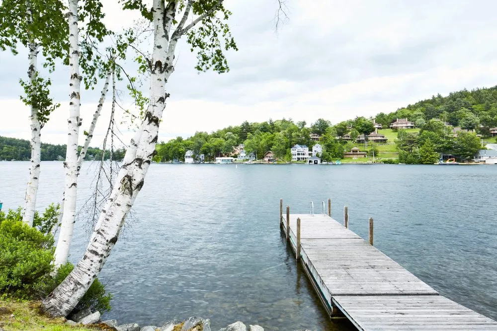 Local yard cleanup service in Newport, NH by Relax & Co