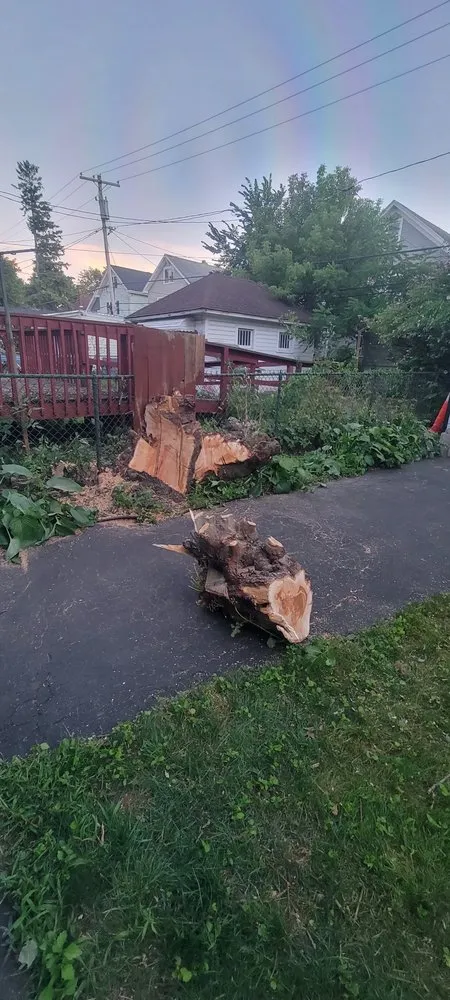 Local garden landscaping for beautiful yards across Buffalo, NY - Relax While We Work