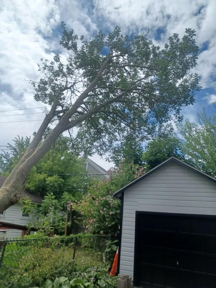 Affordable yard cleanup service in Buffalo, NY - Relax While We Work