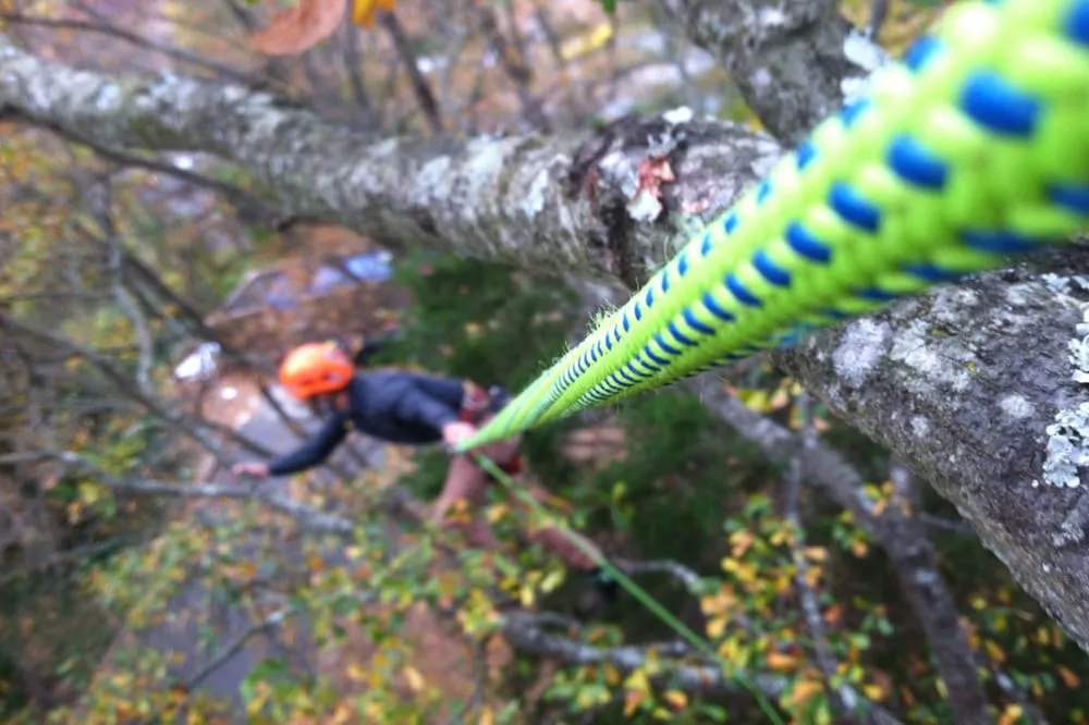 Trusted landscape installation in Charlotte, NC - Releaf Tree Works