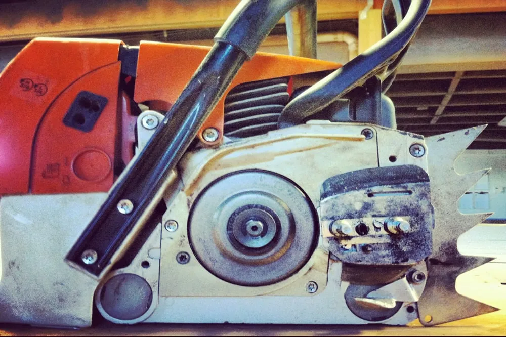 Local landscape installation in Charlotte, NC - Releaf Tree Works