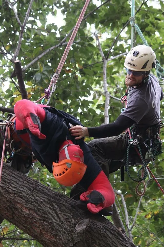 Affordable residential landscaping for residential properties across Charlotte, NC - Releaf Tree Works