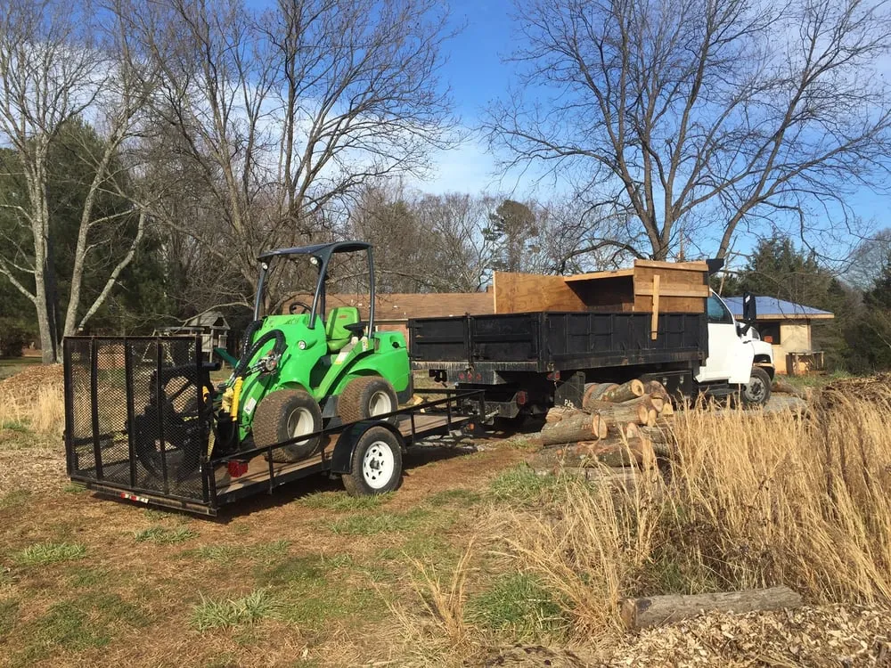 Top-rated yard cleanup service for year-round maintenance across Charlotte, NC - Releaf Tree Works