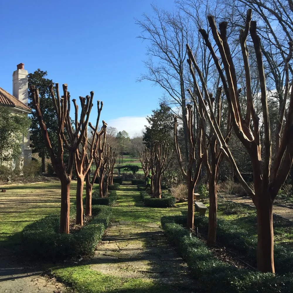 Affordable yard maintenance for homes across Charlotte, NC - Releaf Tree Works