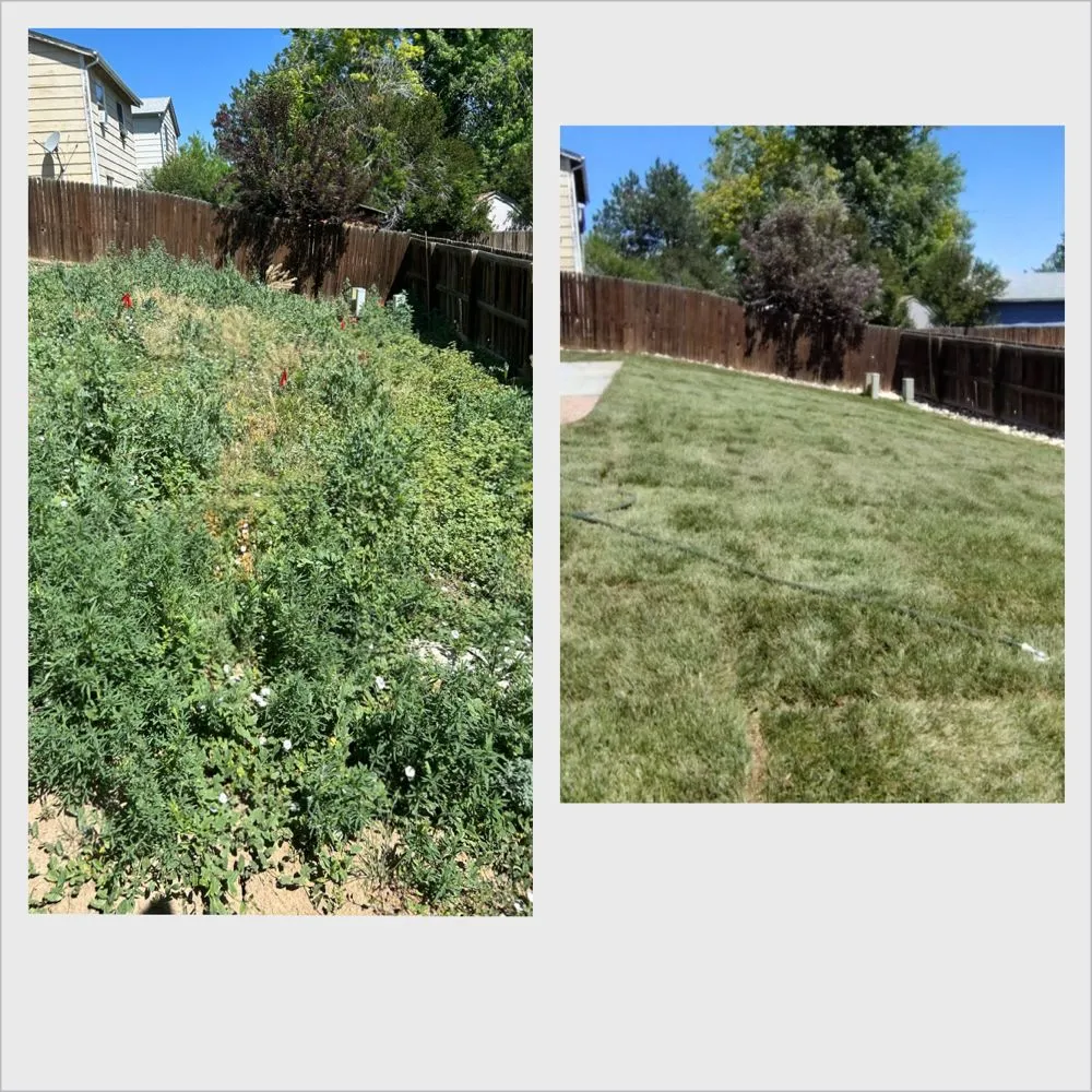 Affordable residential landscaping for homes in Elizabeth, CO by Relentless Excavating