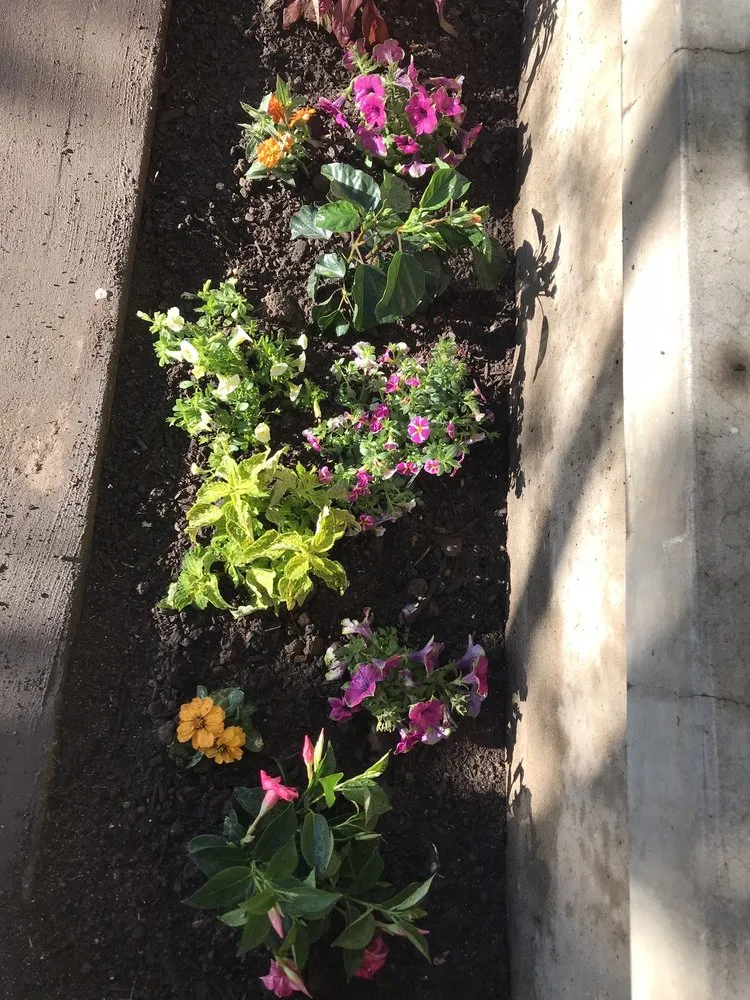 Reliable lawn care service in Amarillo, TX - Relentless Landscaping