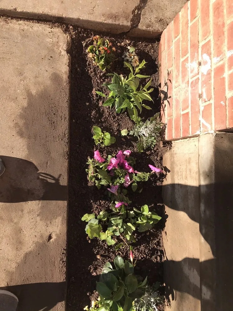 Local yard cleanup service for outdoor upgrades in Amarillo, TX by Relentless Landscaping