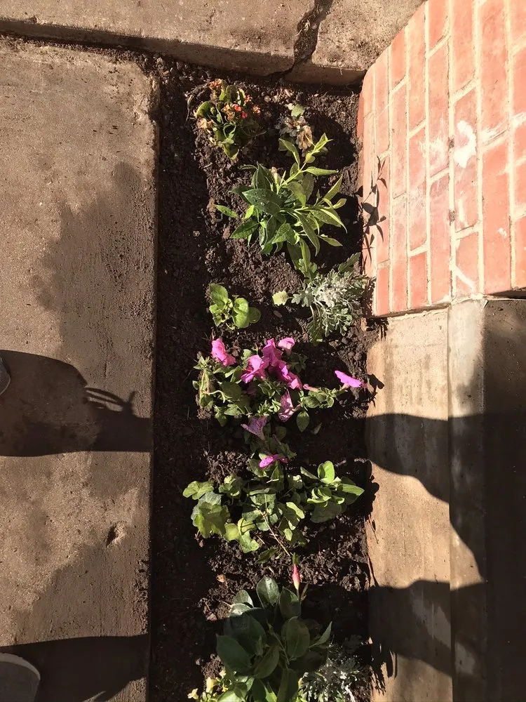 Custom garden landscaping in Amarillo, TX - Relentless Landscaping