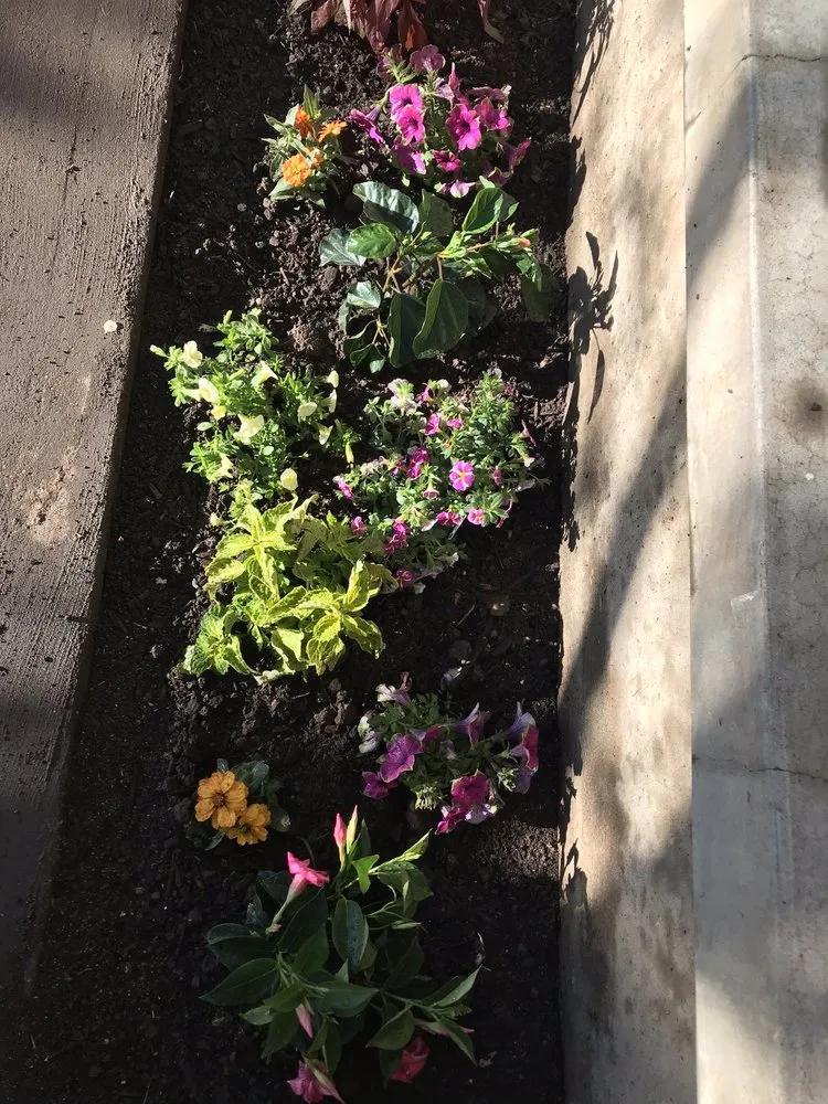 Professional outdoor landscaping in Amarillo, TX - Relentless Landscaping