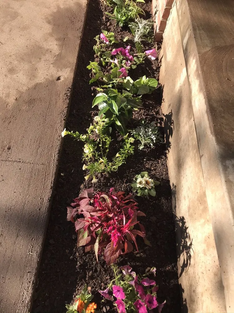 Trusted yard maintenance in Amarillo, TX by Relentless Landscaping