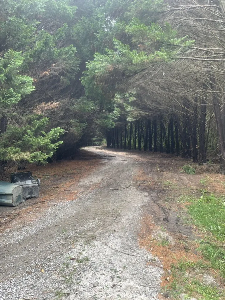 Reliable residential landscaping for homes across Conyers, GA - Relentless Landscaping LLC