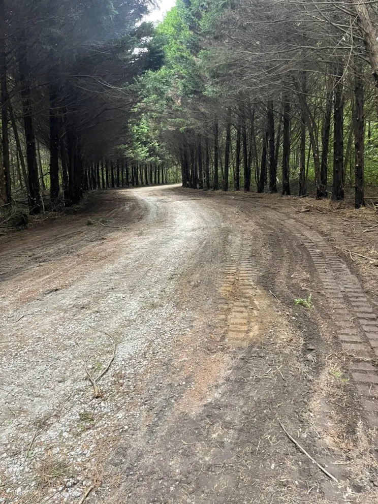 Local landscape installation experts serving Conyers, GA - Relentless Landscaping LLC